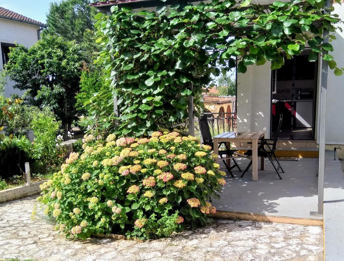 Apartments And Room Markovic Rovinjsko Selo Exterior photo