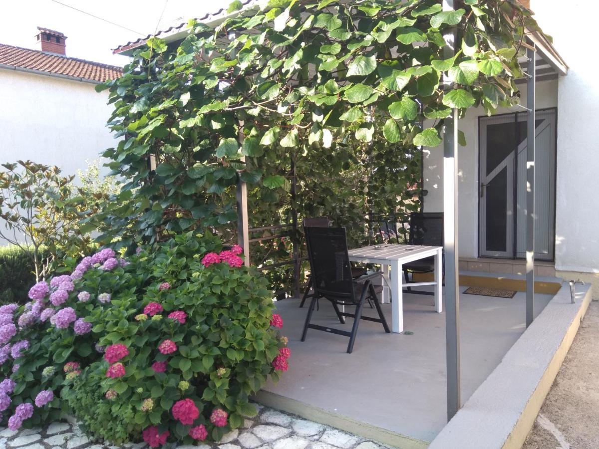 Apartments And Room Markovic Rovinjsko Selo Exterior photo