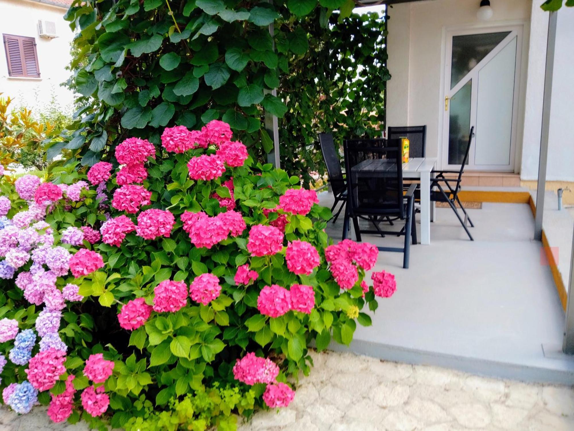 Apartments And Room Markovic Rovinjsko Selo Exterior photo