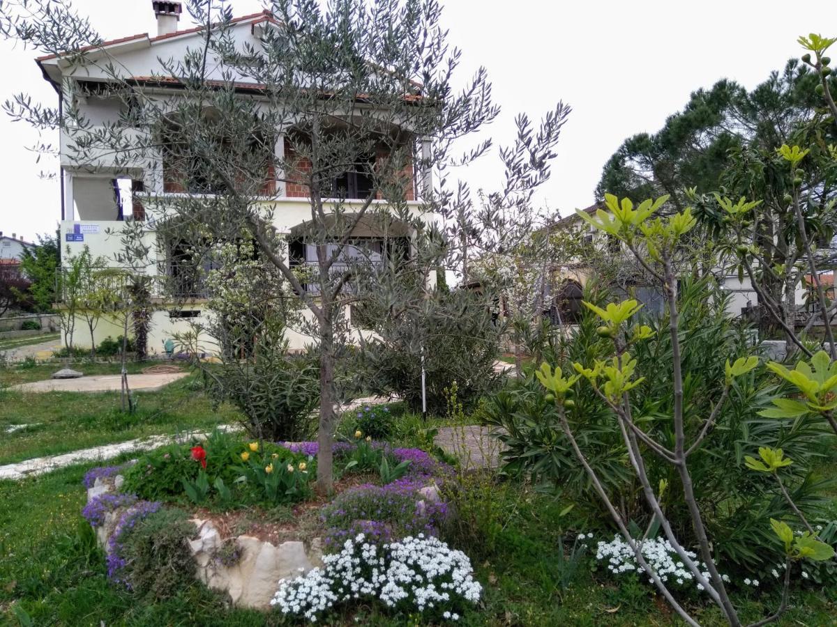 Apartments And Room Markovic Rovinjsko Selo Exterior photo